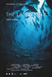 FilmPlatform