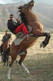 Buzkashi