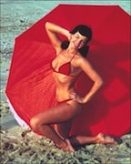 Bettie Page Reveals All