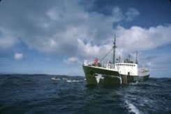 The Rainbow Warriors Of Waiheke Island