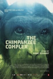 The Chimpanzee Complex