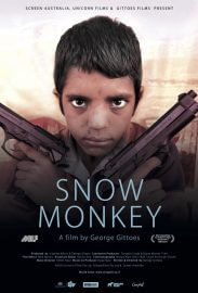 Snow Monkey