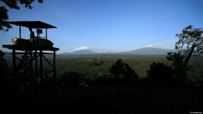 Virunga