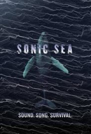 Sonic Sea