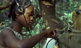 Concerning Violence