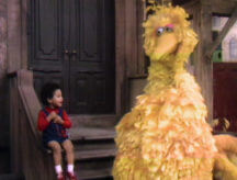 The World According to Sesame Street