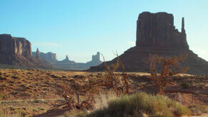 John Ford, the Man Who Invented America