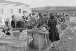 Ma’abarot – The Israeli Transfer Camps