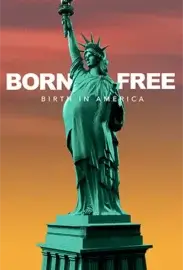 Born Free: Birth in America