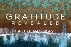 Gratitude Revealed (feature)