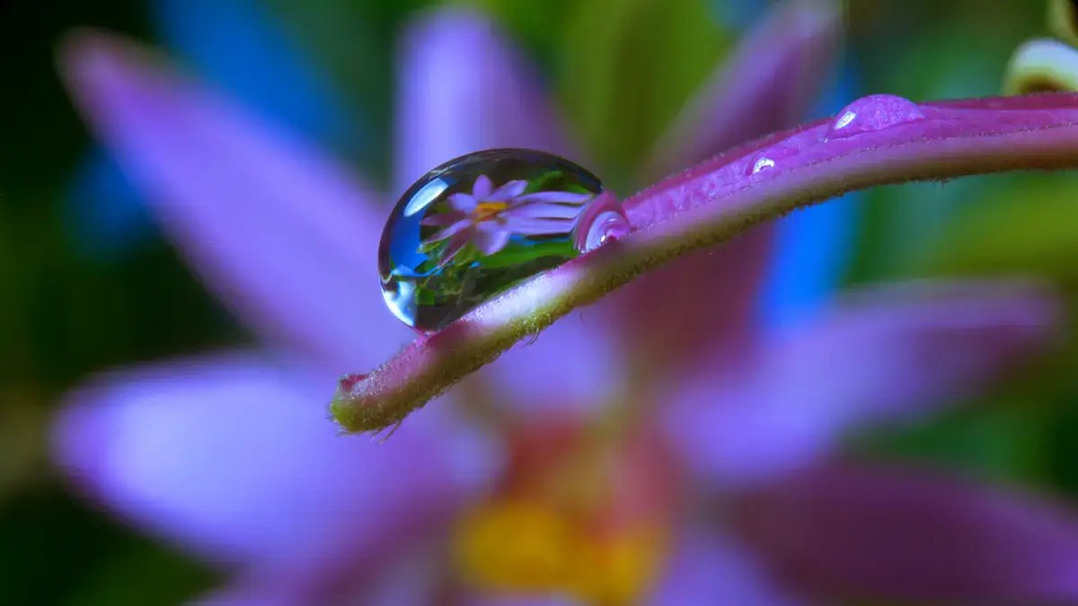 Purple Water Drop Gratitude Revealed 1200x675