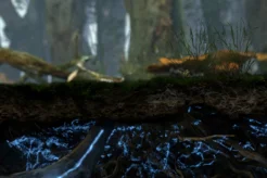 Fantastic Fungi (Educational Cut)
