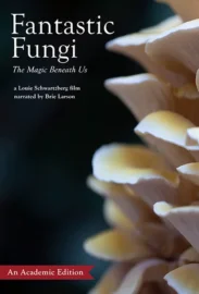 FilmPlatform