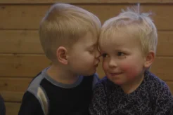Budding Humans
