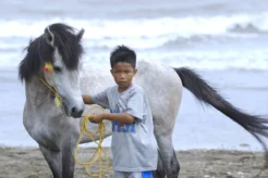 Jockey Boy