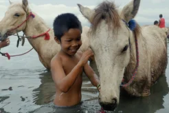Jockey Boy