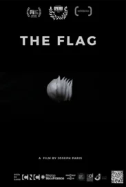 FilmPlatform