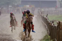 Jockey Boy