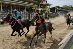 Jockey Boy