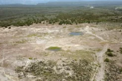 Green Warriors – The Toxic Legacy of Warfare
