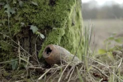 Green Warriors – The Toxic Legacy of Warfare