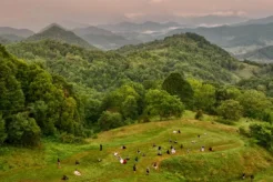 Getting Free: Stories of Breaking Addictions