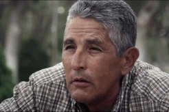 The Freedom of Fierro (La Libertad de Fierro)